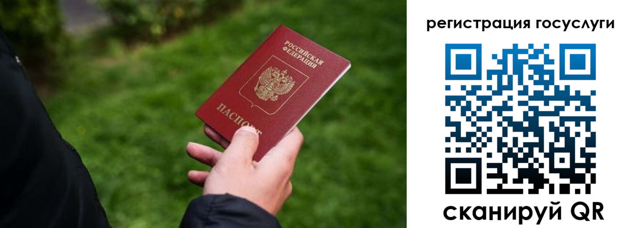 прописка в Кировске